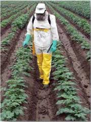 Agropecuaria Jatun Sach A
