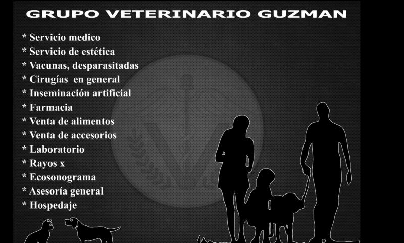 Guzman & CIA. 