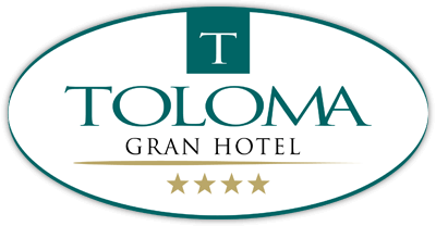 Hotel Toloma