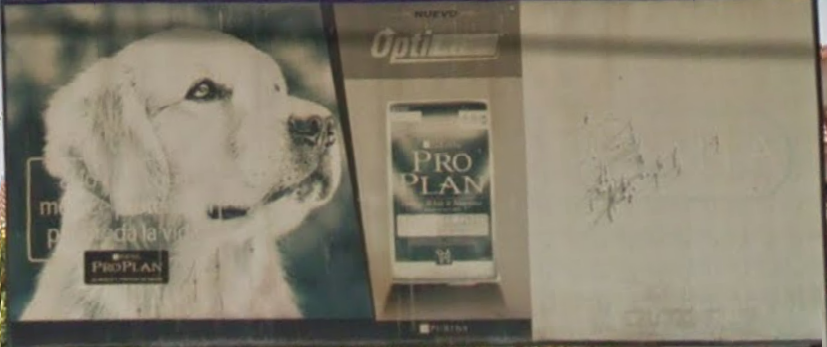 Alfa Veterinarios