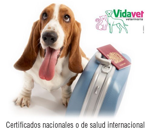 VidaVet