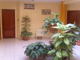Las Hadas - imagen 1