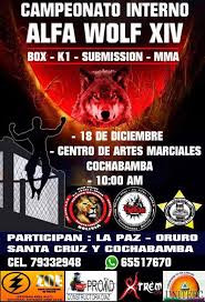 Centro De Artes Marciales 