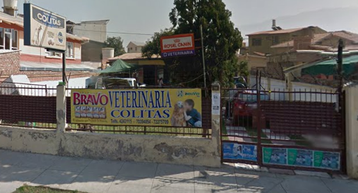 Veterinaria Colitas
