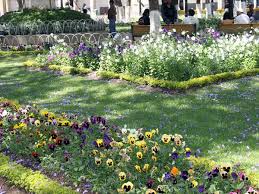 Jardín botánico Martín Cárdenas - imagen 1