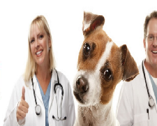 Centro Veterinario Tiquipaya - imagen 1