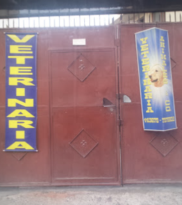 Veterinaria animalitos