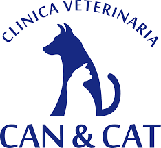 CAN Y CAT  - imagen 2