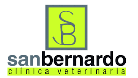 San Bernardo - imagen 2