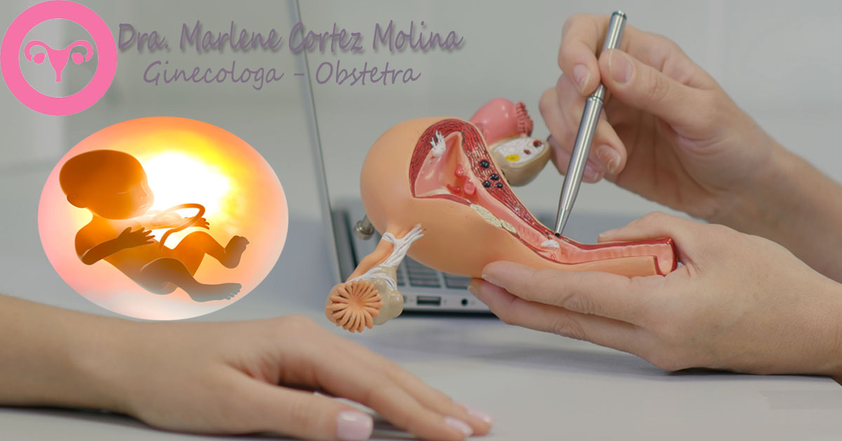 Dra.Marlene Cortez Molina - imagen 2