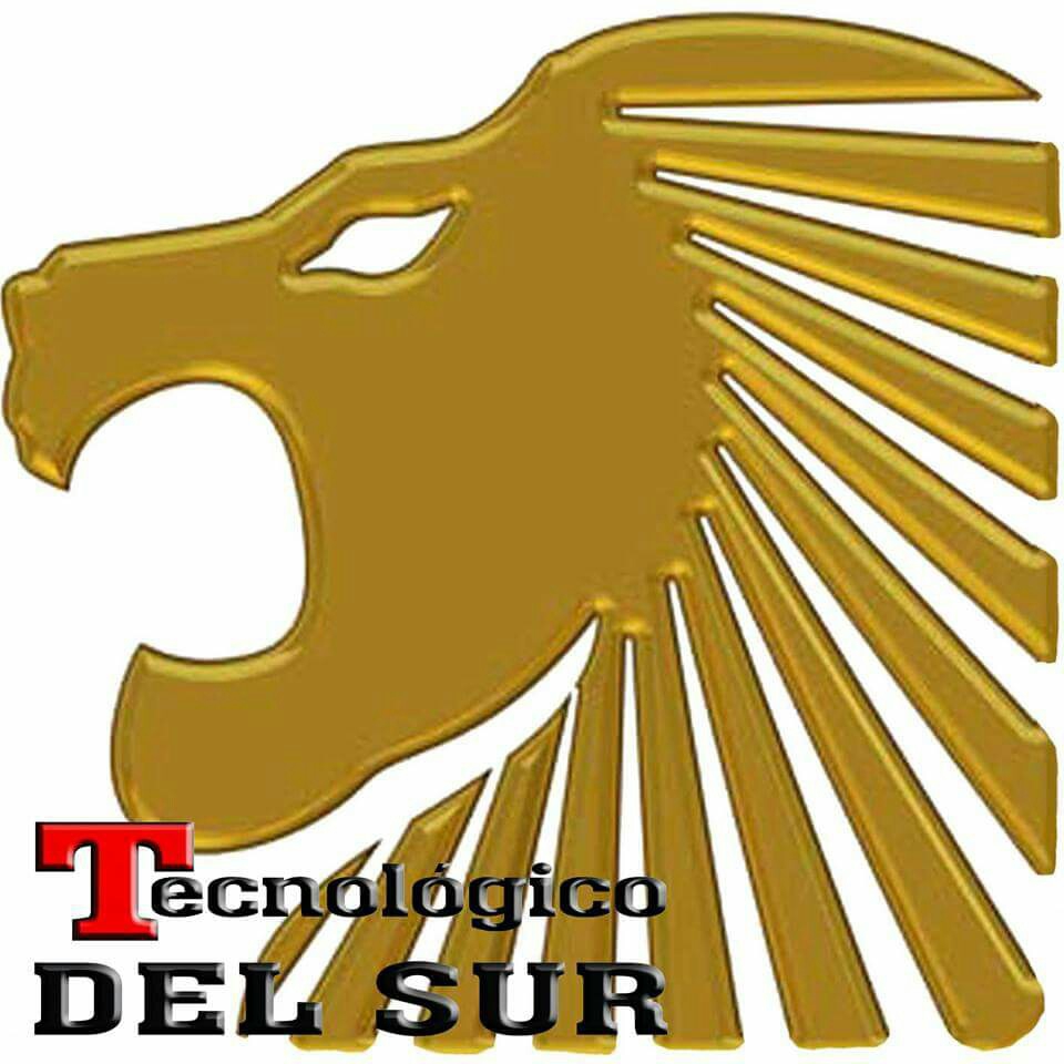 TECNOLÓGICO DEL SUR - imagen 2