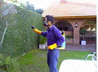 Fumiexpertos  - imagen 2