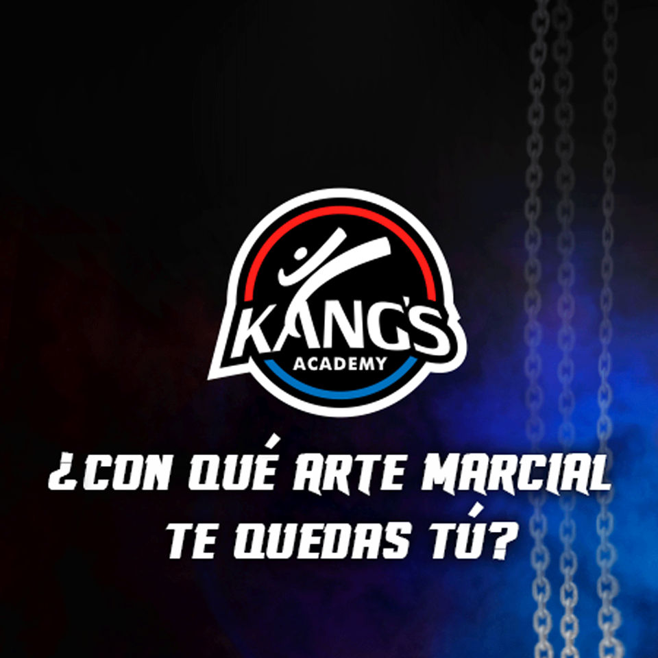Academia Kangs - imagen 5