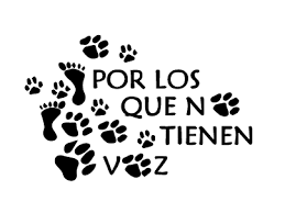 Adoptar - imagen 3
