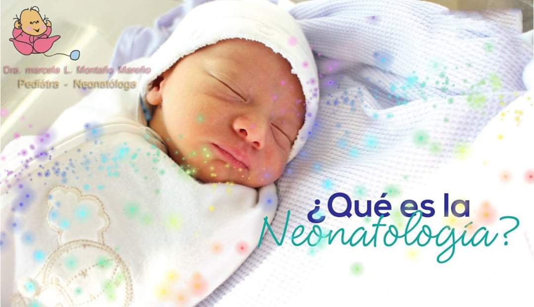 Dra. Marcela L. Montaño Mareño - imagen 2