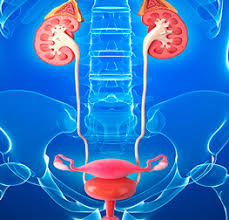 Dr. Abel Rojas Z. - imagen 3
