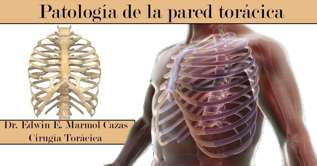Dr. Edwin E. Marmol Cazas - imagen 4