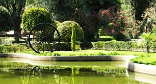 Jardín botánico Martín Cárdenas - imagen 2