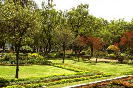 Jardín botánico Martín Cárdenas - imagen 3