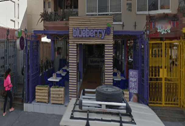 Blueberry - imagen 2