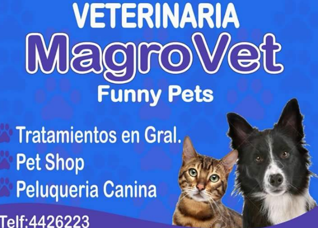 Veterinaria Magrovet Funny Pets - imagen 2