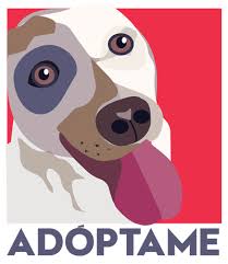 Adopción - imagen 2