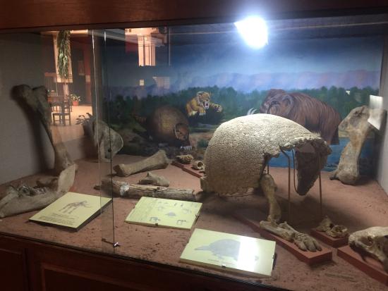 Museo Arqueológico - imagen 2