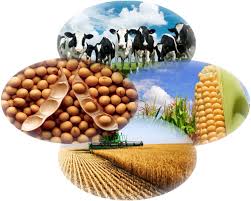Agropecuaria M.R - imagen 2