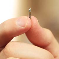 Microchip