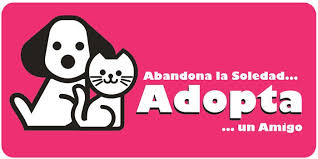Adopciones Animales
