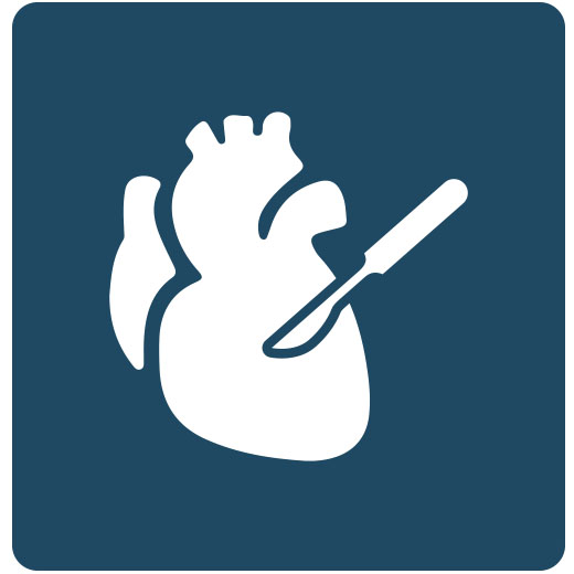 Cirugía Cardiovascular