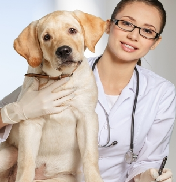 Veterinaria